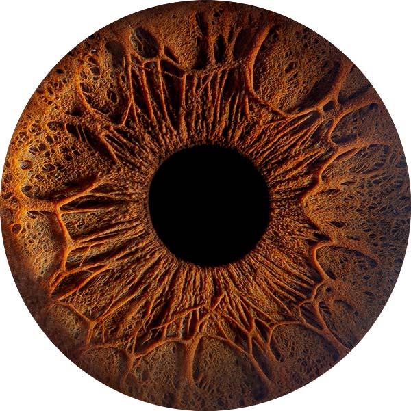 Студия Your-Eyes - фотография радужки глаза Студия Your-Eyes - фотография радужки глаза