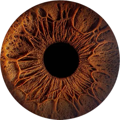 Студия Your-Eyes - фотография радужки глаза