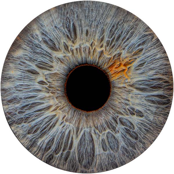 Студия Your-Eyes - фотография радужки глаза Студия Your-Eyes - фотография радужки глаза