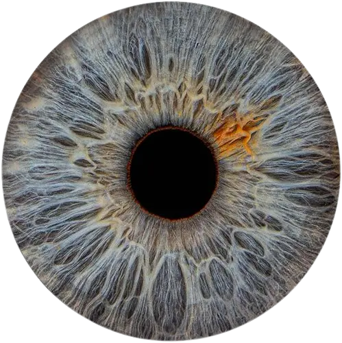 Студия Your-Eyes - фотография радужки глаза