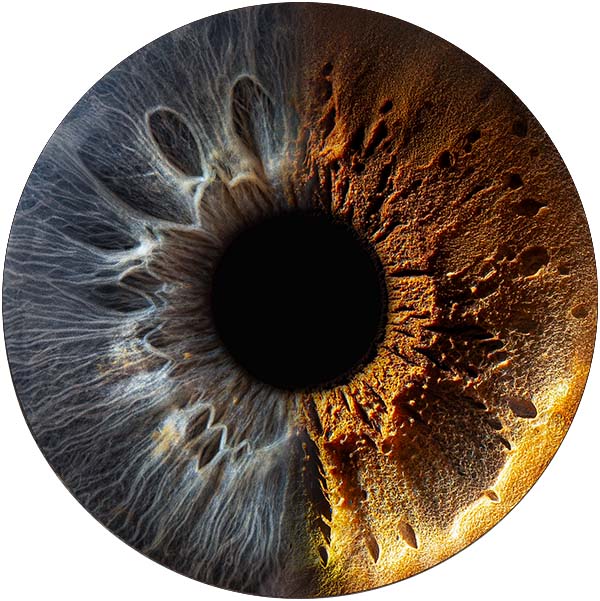Студия Your-Eyes - фотография радужки глаза Студия Your-Eyes - фотография радужки глаза