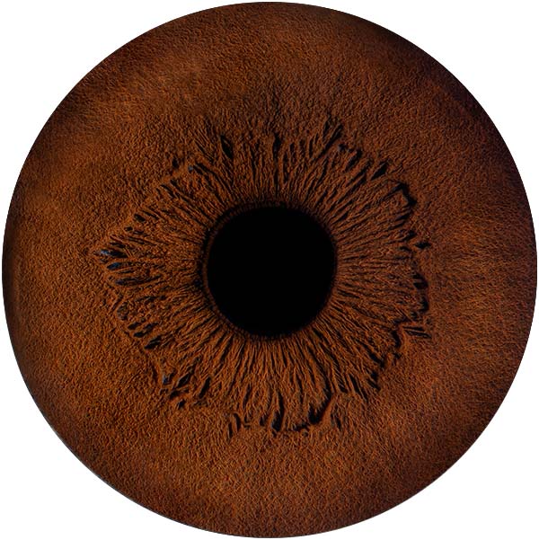 Студия Your-Eyes - фотография радужки глаза Студия Your-Eyes - фотография радужки глаза