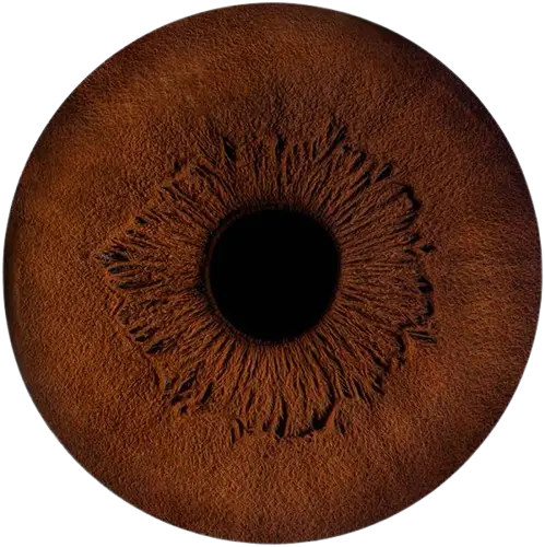 Студия Your-Eyes - фотография радужки глаза