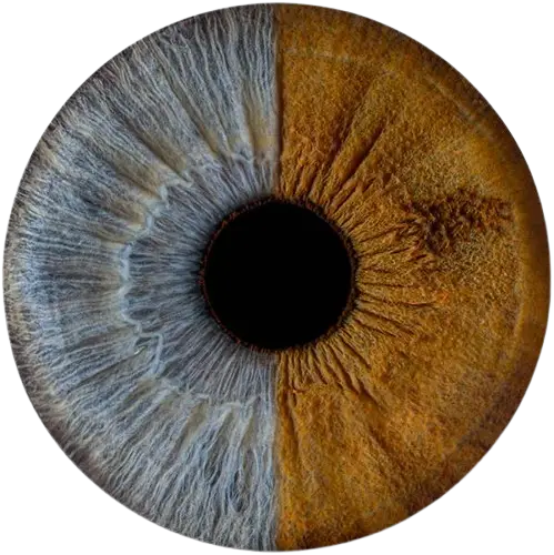 Студия Your-Eyes - фотография радужки глаза