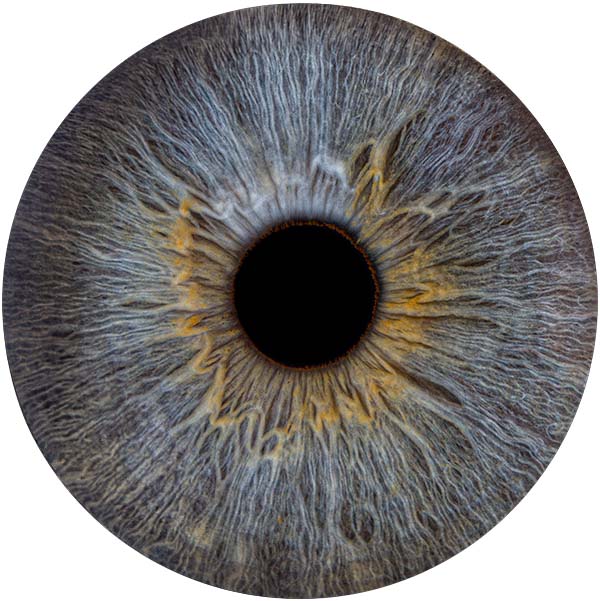 Студия Your-Eyes - фотография радужки глаза Студия Your-Eyes - фотография радужки глаза