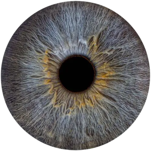 Студия Your-Eyes - фотография радужки глаза