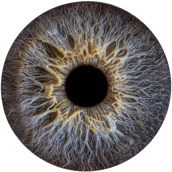 Студия Your-Eyes - фотография радужки глаза Студия Your-Eyes - фотография радужки глаза