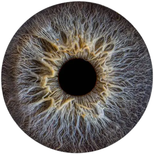 Студия Your-Eyes - фотография радужки глаза