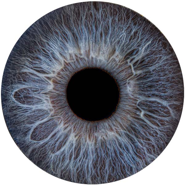 Студия Your-Eyes - фотография радужки глаза Студия Your-Eyes - фотография радужки глаза