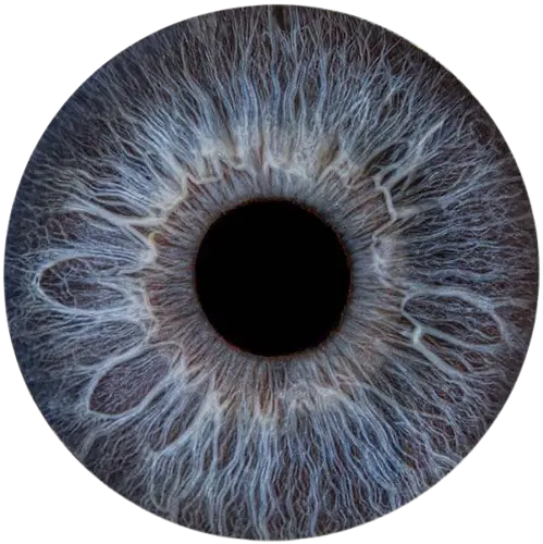 Студия Your-Eyes - фотография радужки глаза