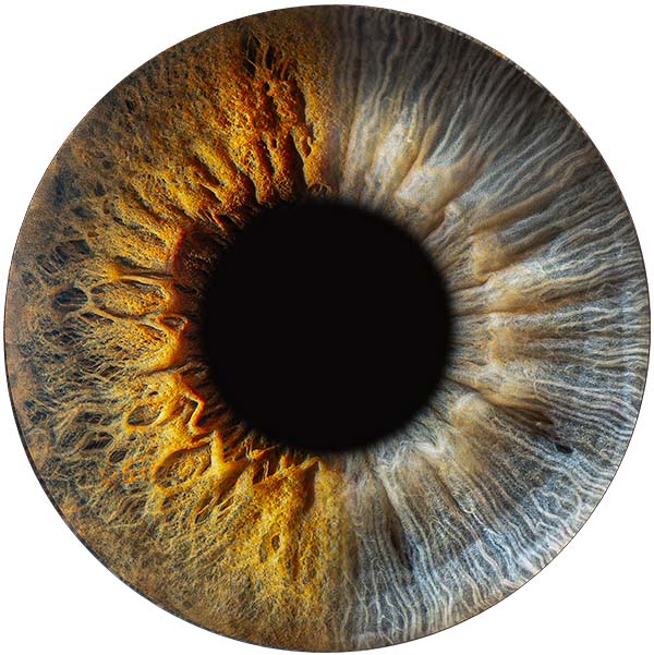 Студия Your-Eyes - фотография радужки глаза Студия Your-Eyes - фотография радужки глаза