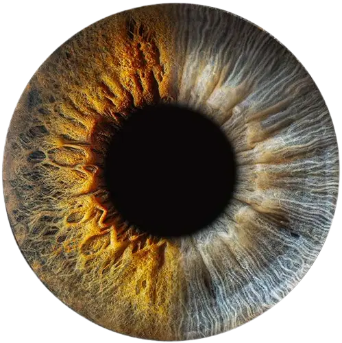 Студия Your-Eyes - фотография радужки глаза