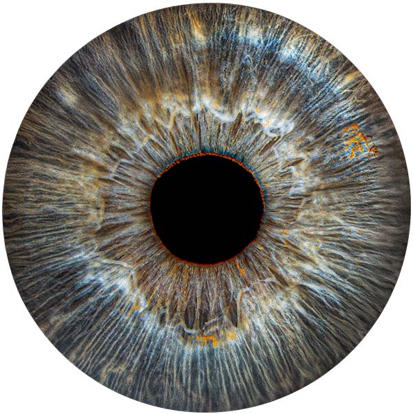 Студия Your-Eyes - фотография радужки глаза Студия Your-Eyes - фотография радужки глаза