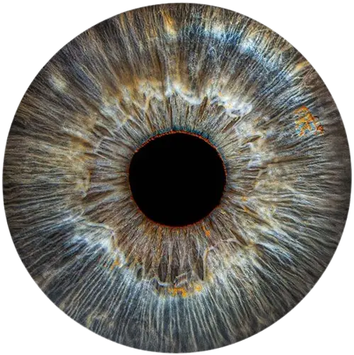 Студия Your-Eyes - фотография радужки глаза