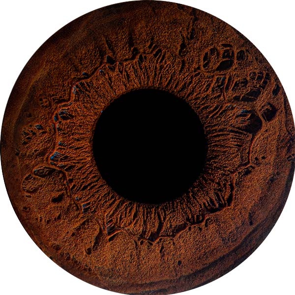 Студия Your-Eyes - фотография радужки глаза Студия Your-Eyes - фотография радужки глаза