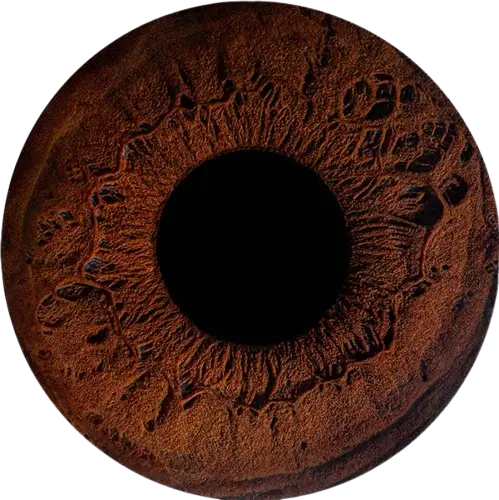 Студия Your-Eyes - фотография радужки глаза
