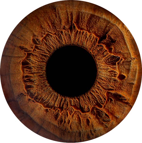 Студия Your-Eyes - фотография радужки глаза Студия Your-Eyes - фотография радужки глаза