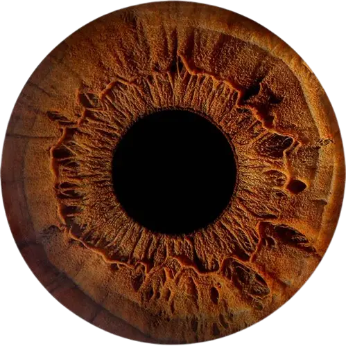 Студия Your-Eyes - фотография радужки глаза