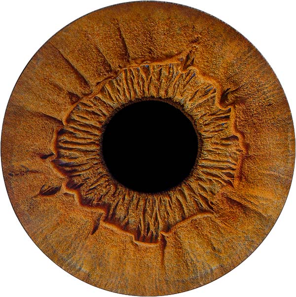 Студия Your-Eyes - фотография радужки глаза Студия Your-Eyes - фотография радужки глаза