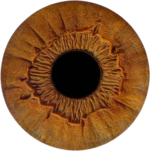 Студия Your-Eyes - фотография радужки глаза