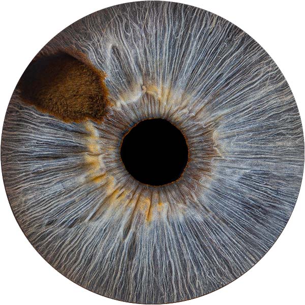 Студия Your-Eyes - фотография радужки глаза Студия Your-Eyes - фотография радужки глаза