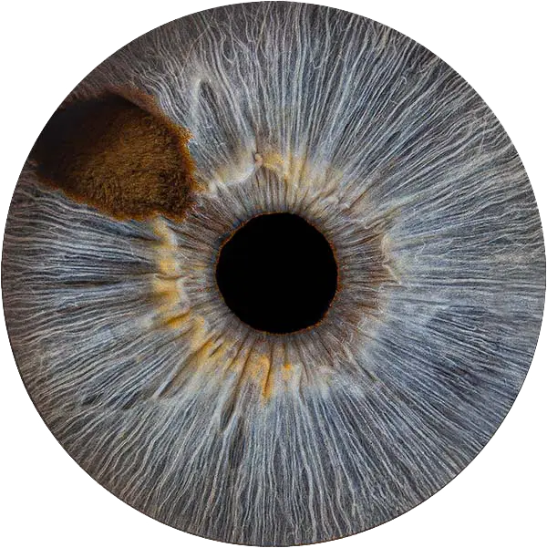 Студия Your-Eyes - фотография радужки глаза