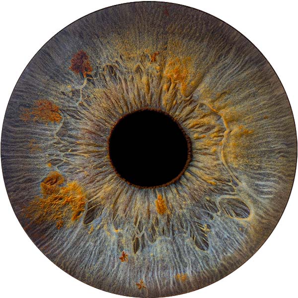 Студия Your-Eyes - фотография радужки глаза Студия Your-Eyes - фотография радужки глаза
