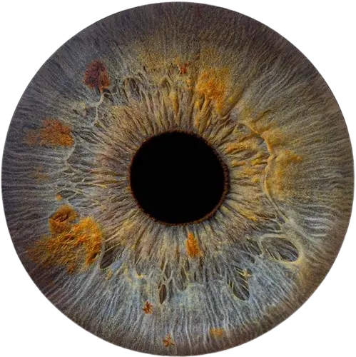 Студия Your-Eyes - фотография радужки глаза