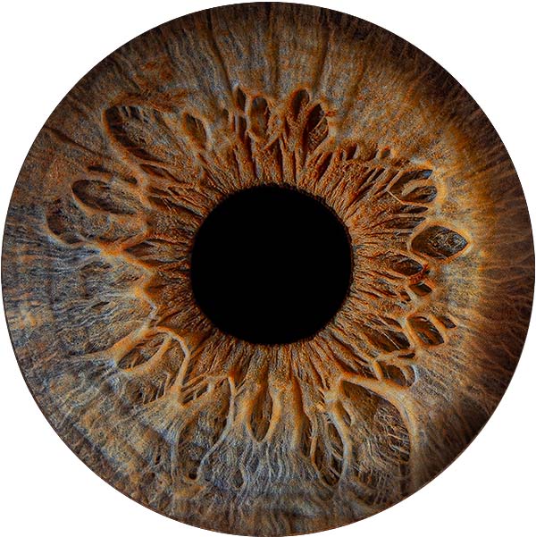 Студия Your-Eyes - фотография радужки глаза Студия Your-Eyes - фотография радужки глаза