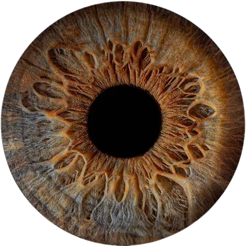 Студия Your-Eyes - фотография радужки глаза