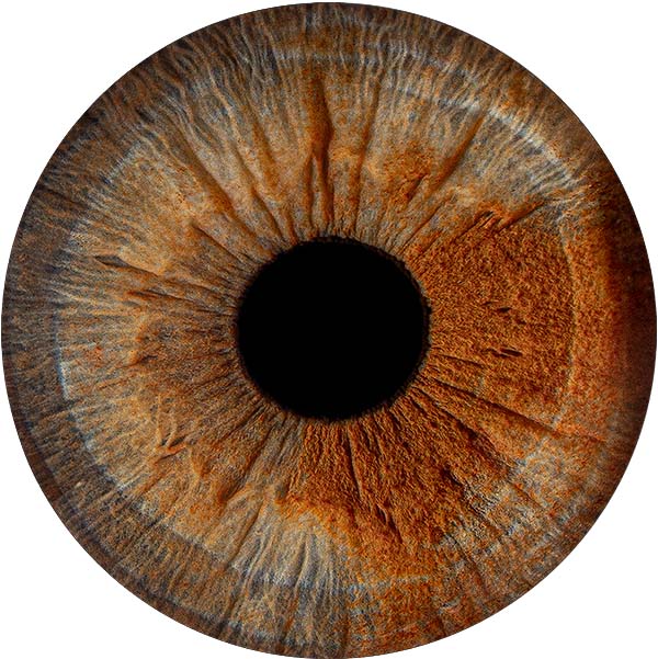 Студия Your-Eyes - фотография радужки глаза Студия Your-Eyes - фотография радужки глаза