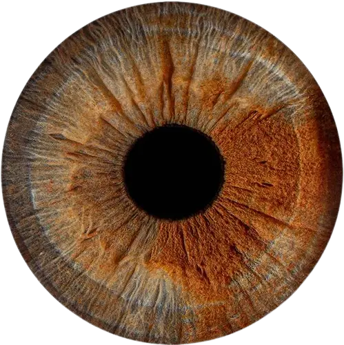 Студия Your-Eyes - фотография радужки глаза