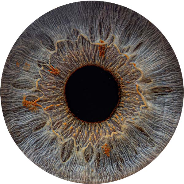 Студия Your-Eyes - фотография радужки глаза Студия Your-Eyes - фотография радужки глаза
