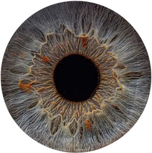 Студия Your-Eyes - фотография радужки глаза
