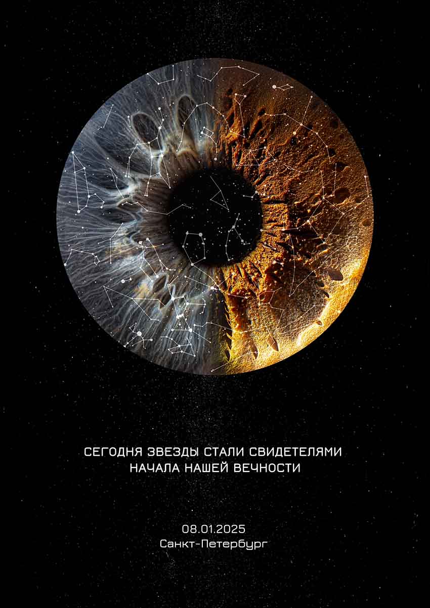 разработчик сайтов